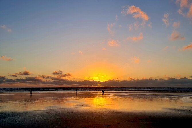 Romantic Auckland Sunset tour with Winery & Thermal pool - Why the Guide Can Make or Break the Evening