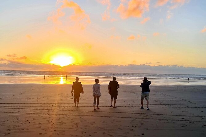 Romantic Auckland Sunset tour with Winery & Thermal pool - Who Will Enjoy This Tour Most?