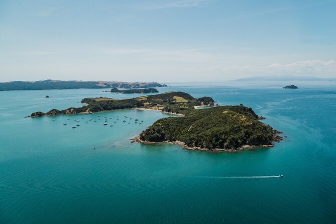 Rotoroa Island Ferry - from Auckland - Rotoroa’s museum and former rehabilitation role