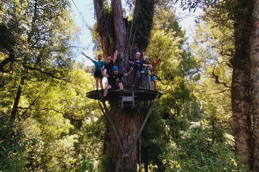 Rotorua: 6 Ziplines, Swing-Bridges & Wildlife Encounters - Weather, clothing, and practical comfort