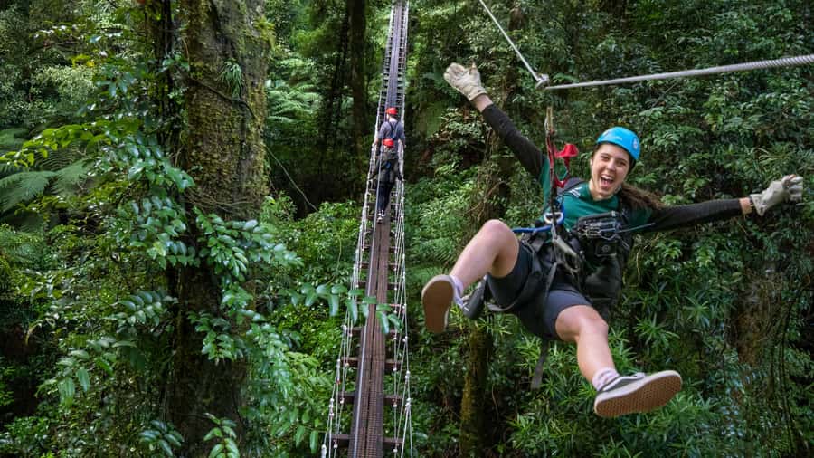 Rotorua: 6 Ziplines, Swing-Bridges & Wildlife Encounters - The first ziplines build confidence the right way