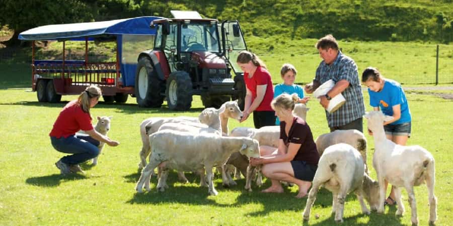 Rotorua Adventures Private Tour - Key points to know before booking