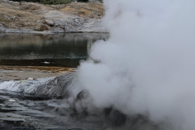 Rotorua and Waitomo Caves Day Trip from Auckland -Smaller Groups - The guides can transform the long drive