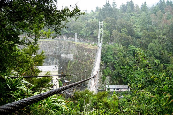 Rotorua and Waitomo - Through the Bombay Hills and Waikato