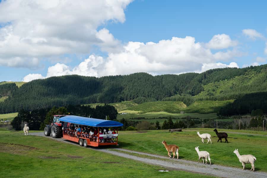Rotorua: Authentic Kiwi Farm Experience at the Agrodome - Starting at the Agrodome Near Rotorua