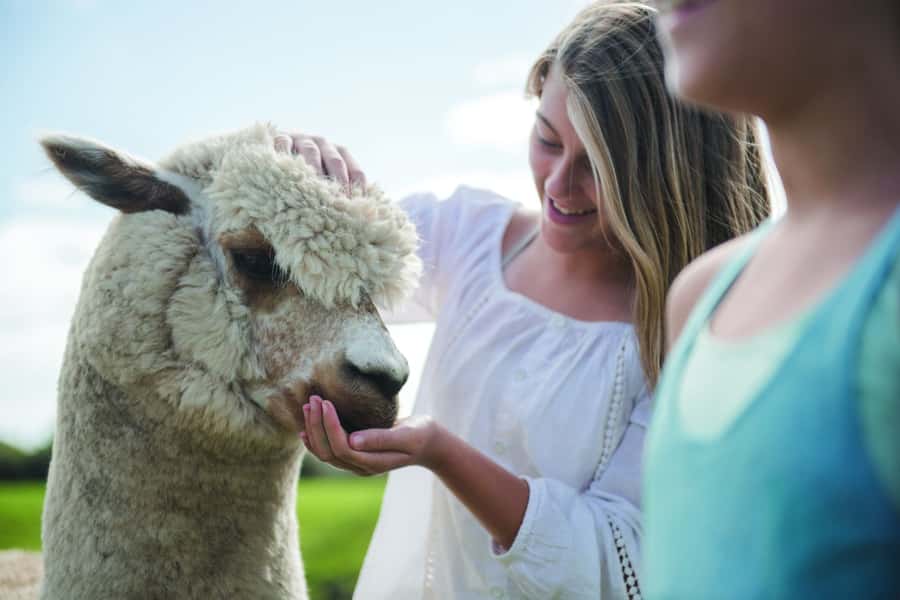 Rotorua: Authentic Kiwi Farm Experience at the Agrodome - Practical Tips for a Smoother Visit