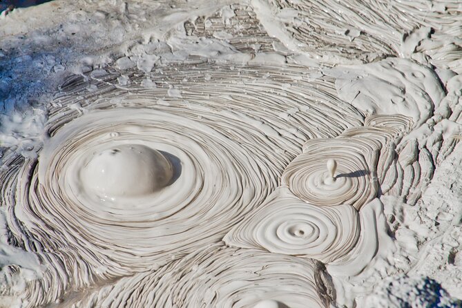Rotorua based Small Group Morning Tour Waimangu and Wai O Tapu - Key points before you book