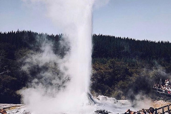 Rotorua based Small Group Morning Tour Waimangu and Wai O Tapu - Who will get the most from this experience