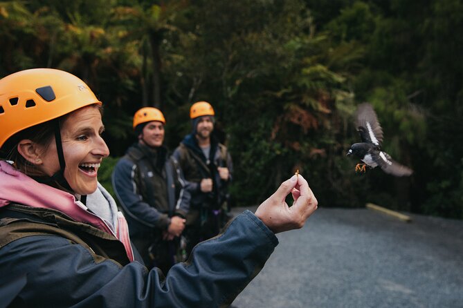 Rotorua Canopy Tours: 2.5Hour Native Forest Zipline Adventure - The guides make the difference