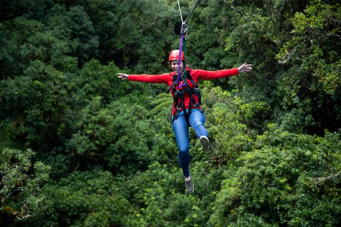 Rotorua Canopy Tours: 2.5Hour Native Forest Zipline Adventure - Is $123.49 good value?