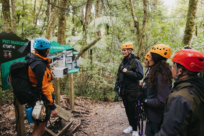 Rotorua Canopy Tours: 2.5Hour Native Forest Zipline Adventure - Weather, clothing, and practical comfort