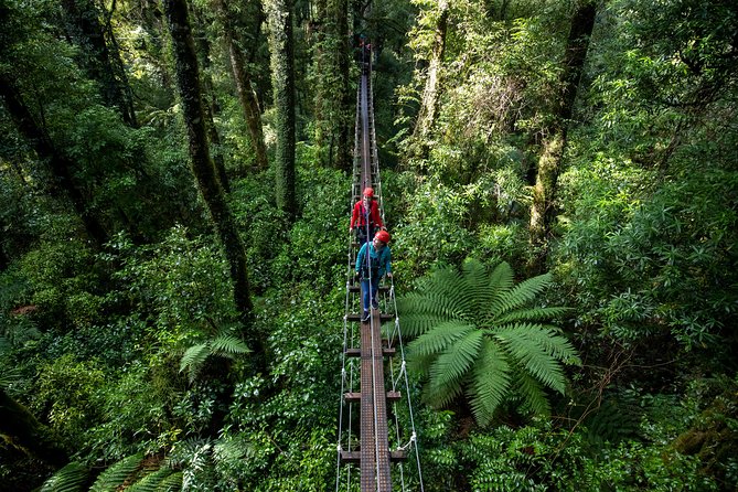 Rotorua Canopy Tours: 2.5Hour Native Forest Zipline Adventure - Who will enjoy this most?
