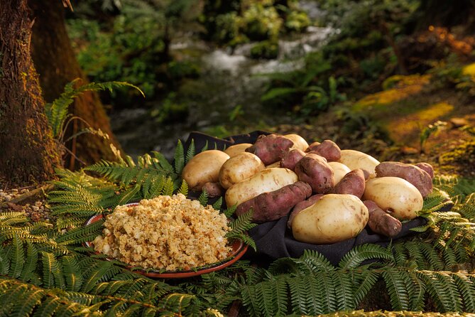 Rotorua Cultural & Geothermal Small Group Tour From Auckland - What the long return ride means