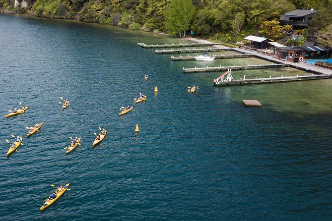 Rotorua: Daytime Scenic Lake Rotoiti Kayak Tour - Key points at a glance
