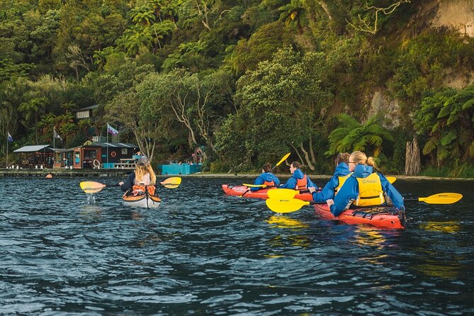 Rotorua: Daytime Scenic Lake Rotoiti Kayak Tour - Paddling the bush-lined shore of Lake Rotoiti