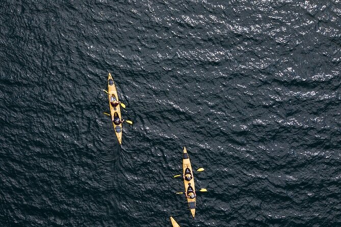Rotorua: Daytime Scenic Lake Rotoiti Kayak Tour - Who will enjoy this Rotorua outing