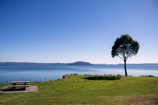 Rotorua Duck Boat Guided City and Lakes Tour - Is the $55.23 price good value?
