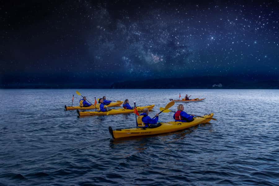 Rotorua: Evening Starlight Gourmet Kayak Tour with dinner - Key points to know before you book