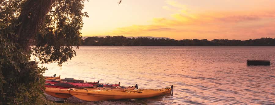 Rotorua: Evening Starlight Gourmet Kayak Tour with dinner - Why Lake Rotoiti makes a fine night setting