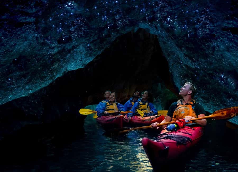 Rotorua: Evening Starlight Gourmet Kayak Tour with dinner - Is $209 good value?