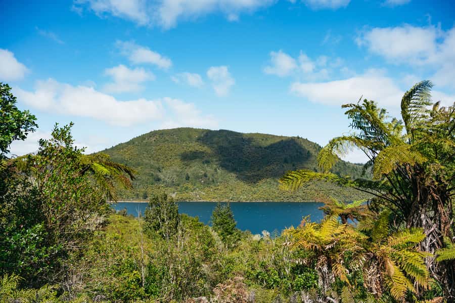 Rotorua: Explore The Lakes Half-Day Morning Tour - Key points at a glance