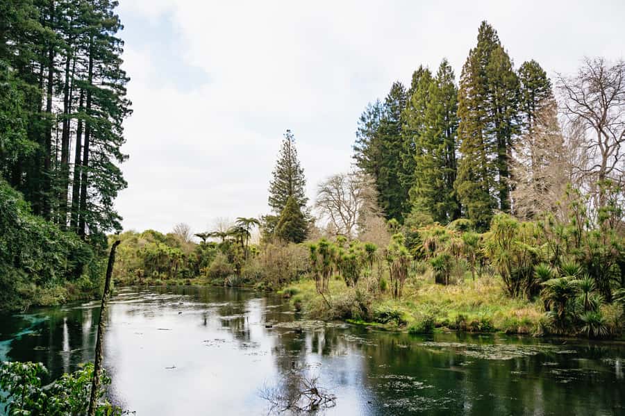 Rotorua: Explore The Lakes Half-Day Morning Tour - Should you book the Rotorua lakes tour?