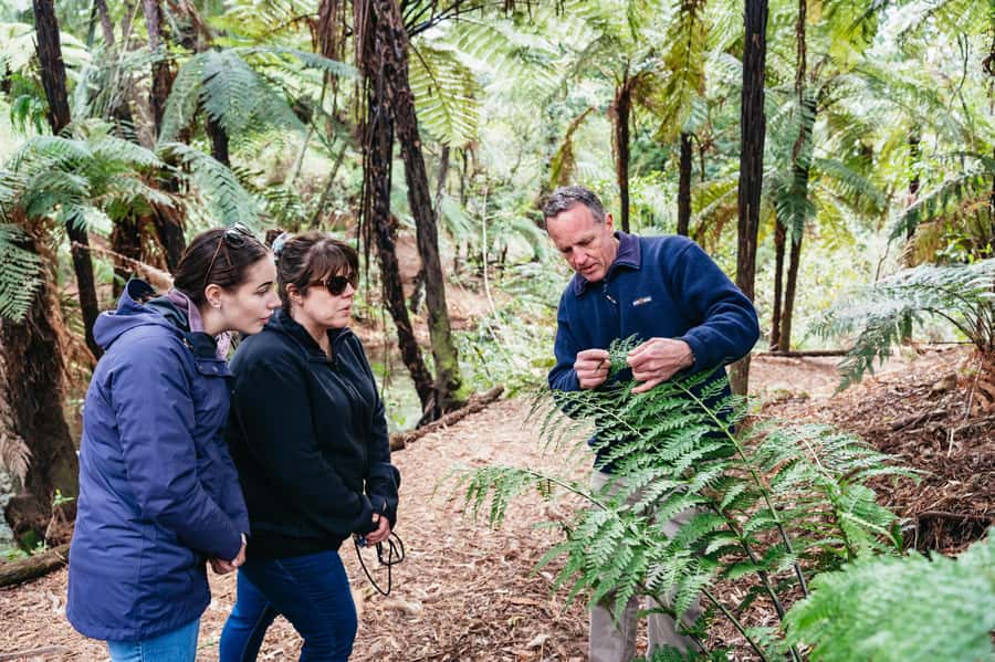 Rotorua: Explore The Lakes Half-Day Morning Tour - Okere Falls, Tutea Falls, and the Kaituna River