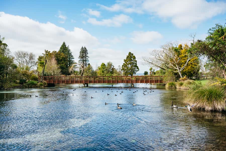 Rotorua: Explore The Lakes Half-Day Morning Tour - The Blue and Green Lakes beside Mount Tarawera