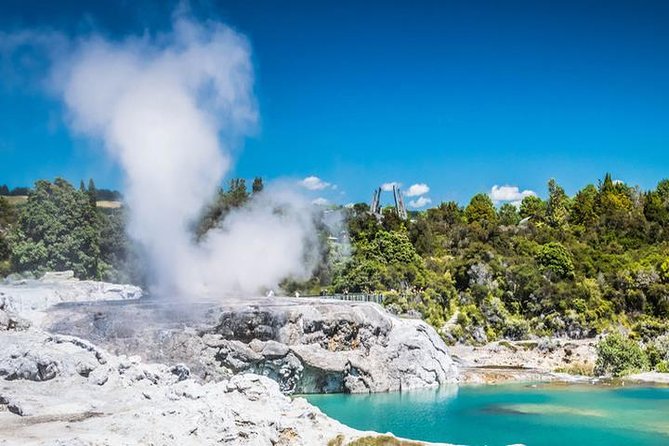 Rotorua Full Day Private Tour from Auckland - Why this Auckland to Rotorua day trip works