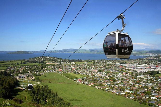 Rotorua Full Day Private Tour from Auckland - Is $216.58 per person good value?