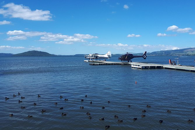 Rotorua Full Day Private Tour from Auckland - Who should book this Rotorua excursion?
