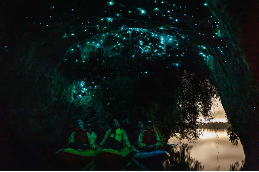 Rotorua: Glow Worm Adventure Kayak - Key points to know before booking