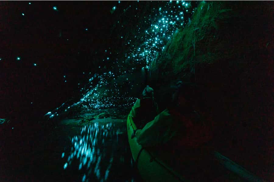 Rotorua: Glow Worm Adventure Kayak - Is $176 a fair price?