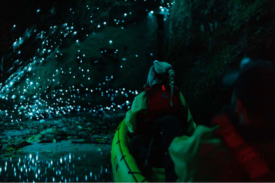 Rotorua: Glow Worm Adventure Kayak - Who will enjoy this most?