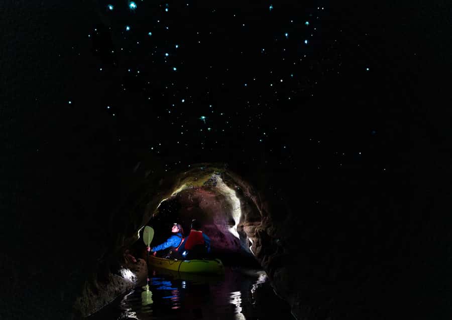 Rotorua: Glow Worm Kayak Tour - Key points at a glance
