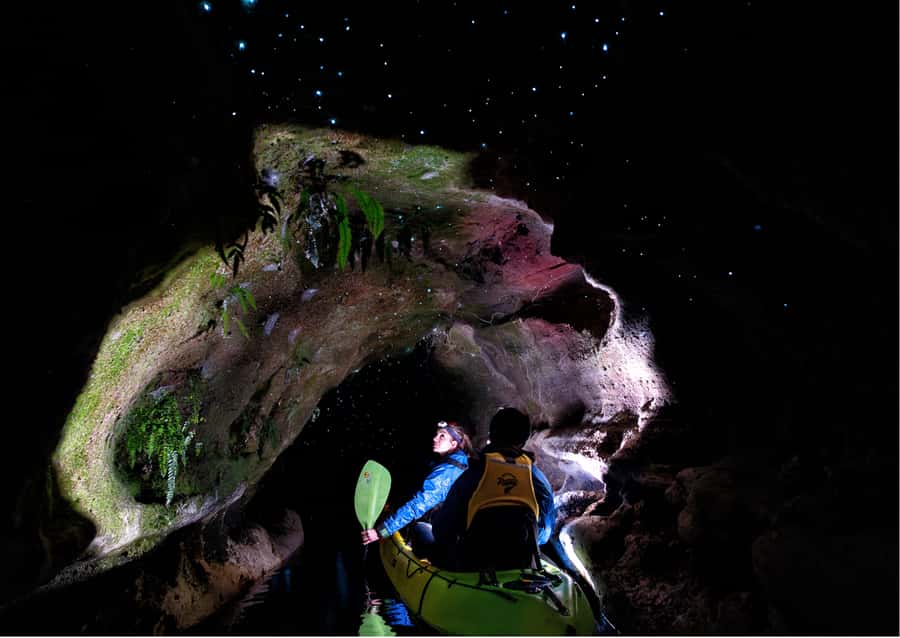 Rotorua: Glow Worm Kayak Tour - What the $116 price delivers