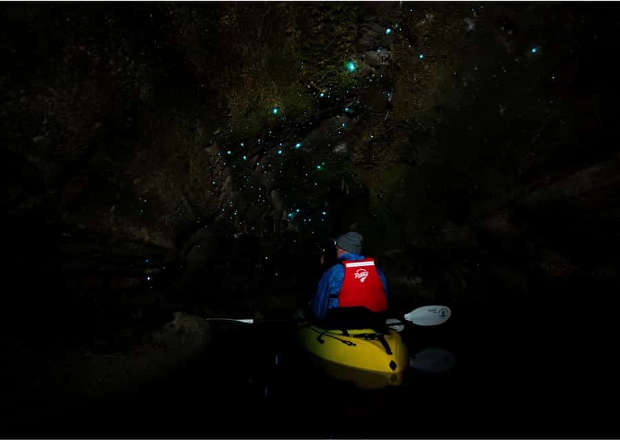 Rotorua: Glow Worm Kayak Tour - Practical preparation for a warmer, drier evening