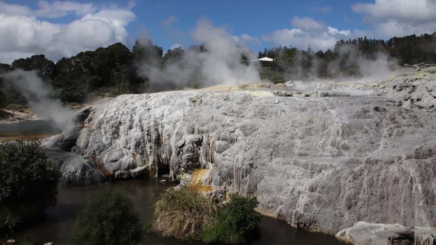 Rotorua: Glowworm Cave, Redwoods Forest & Te Puia Tour - Key points at a glance