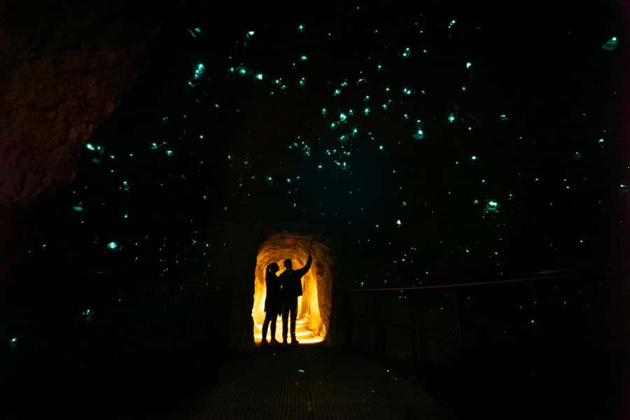 Rotorua: Glowworm Cave, Redwoods Forest & Te Puia Tour - Why this Rotorua day tour works