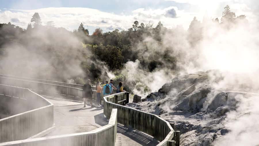 Rotorua: Glowworm Cave, Redwoods Forest & Te Puia Tour - Whakarewarewa Forest: one hour among redwoods