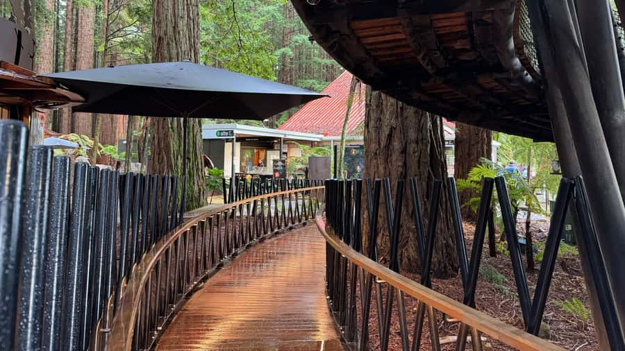 Rotorua: Glowworm Cave, Redwoods Forest & Te Puia Tour - Te Puia combines Māori arts with geothermal force