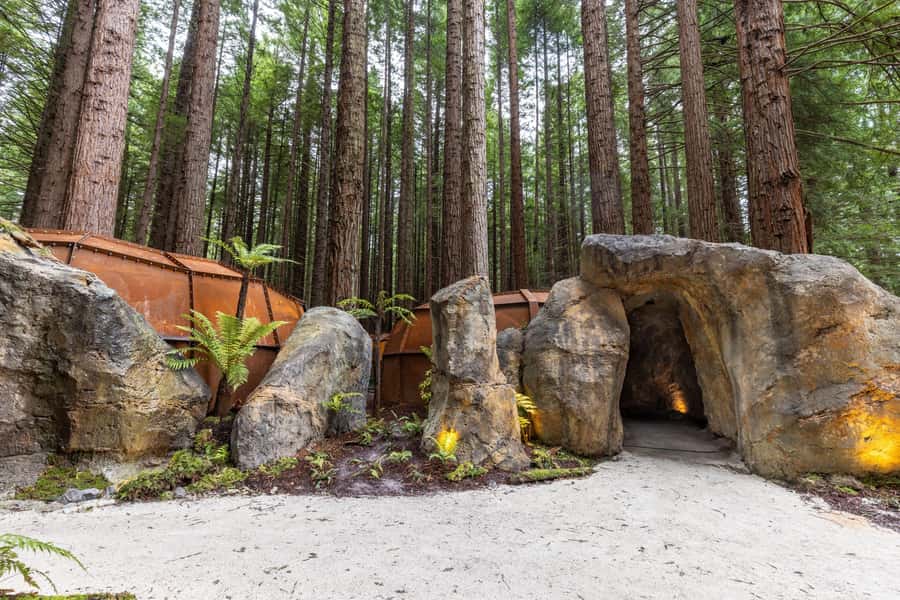 Rotorua: Glowworm Cave, Redwoods Forest & Te Puia Tour - My verdict: book it for range, not relaxation