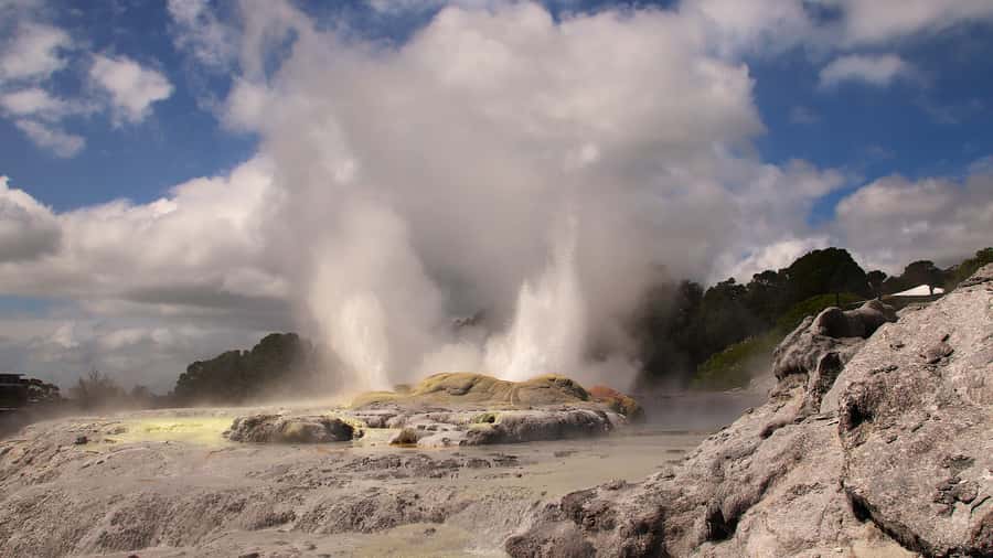 Rotorua: Glowworm Cave, Redwoods Forest & Te Puia Tour - The glowworm cave and its ceiling of lights