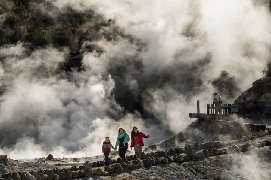 Rotorua: Hell's Gate Geothermal Walk - Key points to know before you go
