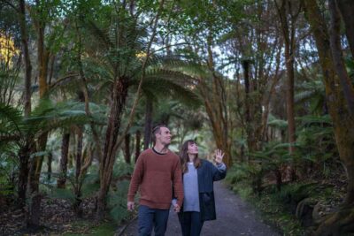 Hell’s Gate Outdoor Mud Spa & Guided Walk