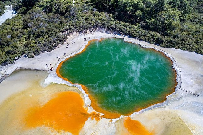 Rotorua Highlights inc. Waiotapu & Te Puia Day Tour from Auckland - Why this Auckland to Rotorua day trip works