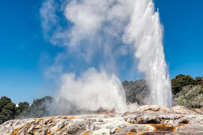 Rotorua Highlights Tour from Auckland with Optional Extras - Key points before you book