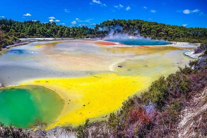 Rotorua Highlights Tour from Auckland with Optional Extras - Why Rotorua works as a day trip from Auckland