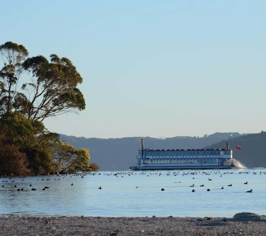 Rotorua: Lake Rotorua Cruise with Buffet Dining Option - What you see from the decks