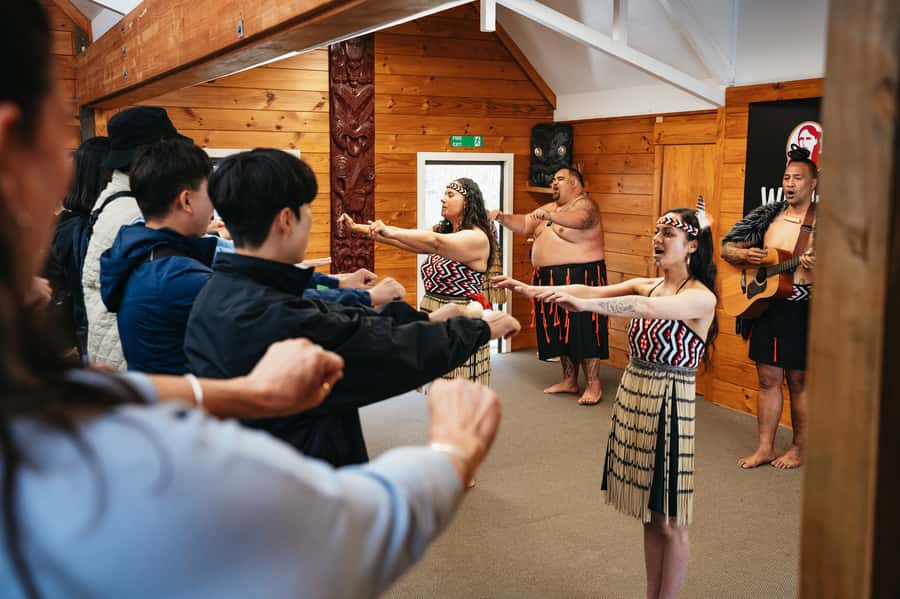 Rotorua: Māori Cultural Performance with Dancing - Who should book this performance?
